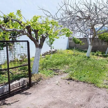 Palaikastro *
